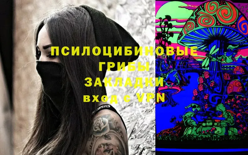 Псилоцибиновые грибы Cubensis Карабулак